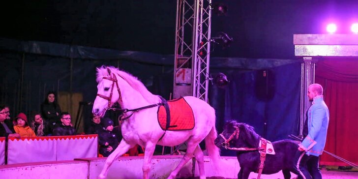 Vstup na cirkusovú show plnú akrobacie a zábavy do CIRKUSU FRANCESKO JUNG v Malackách