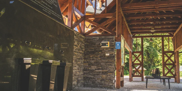 Čarovná dovolenka v srdci turistického raja Pienin: pobyt v kúpeľoch blízko poľských hraníc s wellness