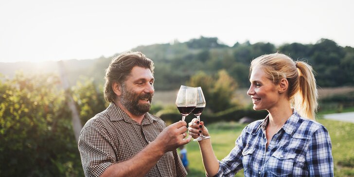 Pobyt v penzióne rodinného vinárstva pre páry aj skupiny vrátane vína či degustácie