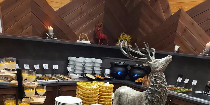 Neobmedzený wellness s večerou alebo masážou v Arietes Marmont Resort
