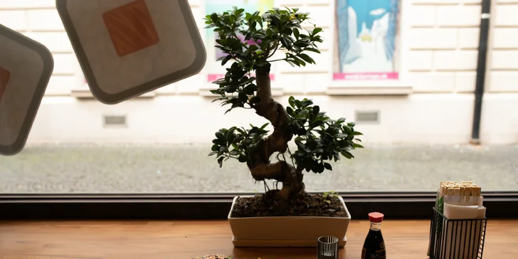 Kilový sushi set v novej prevádzke Sushi Bonsai v centre mesta