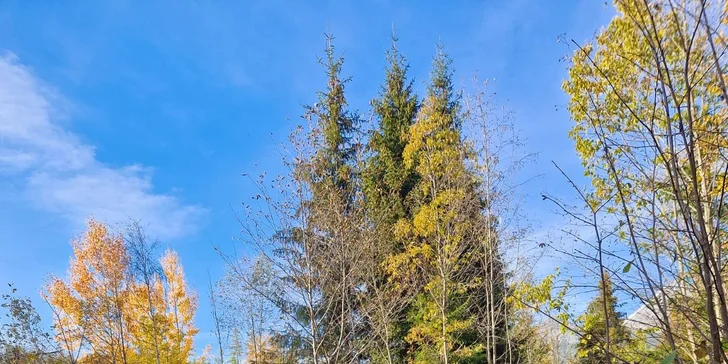 Nefalšované dobrodružstvo či rodinná dovolenka v prvom tatranskom glampingu