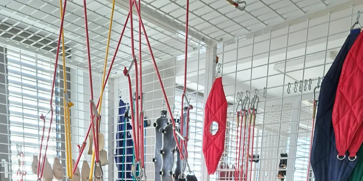 Rehabilitácie a liečba kmeňovými bunkami pre Dominika