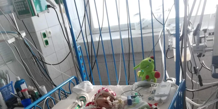 Rehabilitácie a liečba kmeňovými bunkami pre Dominika