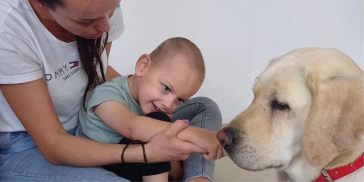 Rehabilitácie a liečba kmeňovými bunkami pre Dominika