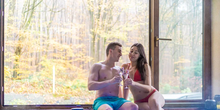 Wellness Zlatý Hýľ: sauny, plavecký & rekreačný bazén aj jacuzzi s výhľadom na les