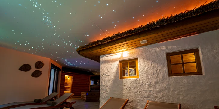 Wellness Zlatý Hýľ: sauny, plavecký & rekreačný bazén aj jacuzzi s výhľadom na les
