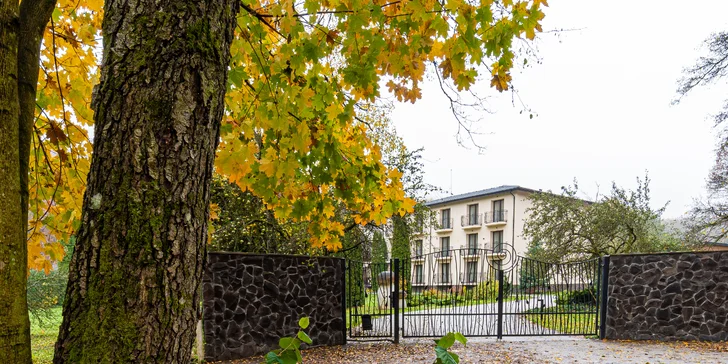 Wellness Zlatý Hýľ: sauny, plavecký & rekreačný bazén aj jacuzzi s výhľadom na les