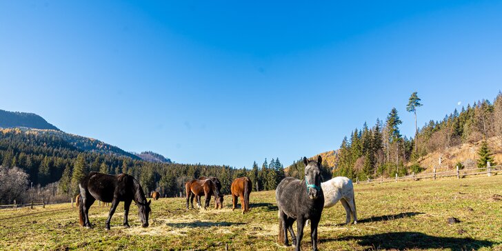 Skvelý zážitok v Slovenskom raji: pobyt v stane, voze, chalúpke či western penzióne s možnosťou jazdy na koni aj saniach so záprahom