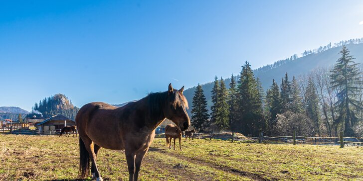 Skvelý zážitok v Slovenskom raji: pobyt v stane, voze, chalúpke či western penzióne s možnosťou jazdy na koni aj saniach so záprahom