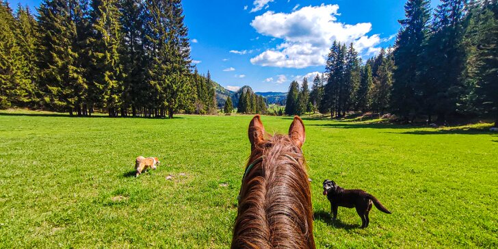 Skvelý zážitok v Slovenskom raji: pobyt v stane, voze, chalúpke či western penzióne s možnosťou jazdy na koni so záprahom