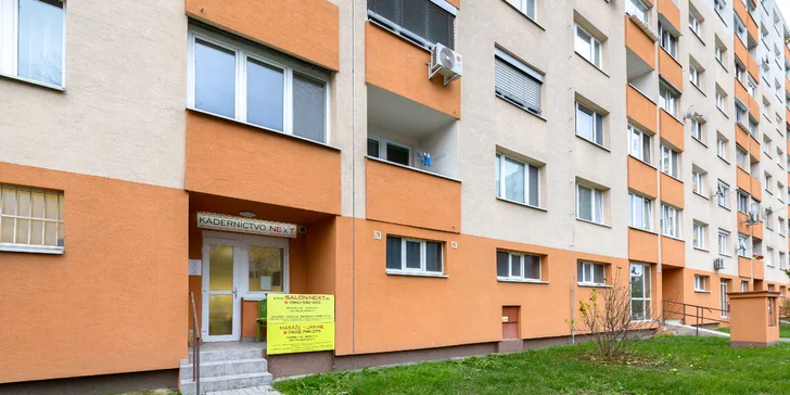 Profesionálny strih, ošetrenie rozštiepených koncov alebo regeneračná kúra ultrazvukovou žehličkou
