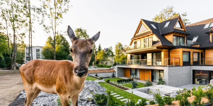 Dovolenka v podmanivom prostredí Zakopaného s raňajkami, romantickou večerou, jacuzzi či masážou