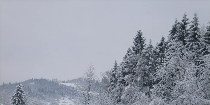Zážitková Wisła: zimný pobyt vr. skipasu alebo wellness dovolenka s raňajkami či polpenziou