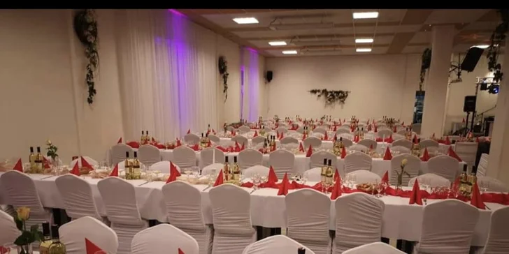 Vstupenka na romantický benefičný ples "Premena" s Jankom Hodoňom