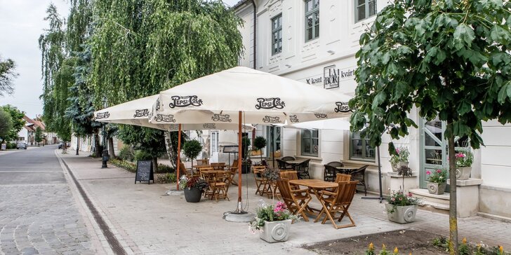 Pobyt pre pôžitkárov: ubytovanie na hlavnom námestí vo vinárskom meste Tokaj u našich susedov