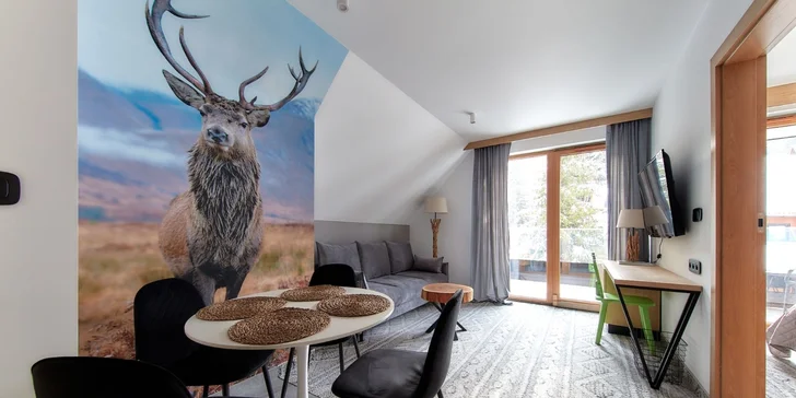 Štýlové apartmány v Zakopanom s výhľadom na Tatry, hneď pri malom lyžiarskom stredisku