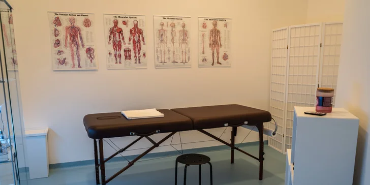 Vstupná diagnostika a terapia s fyzioterapeutom či masáže v COMPHY