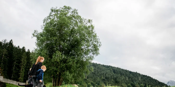 Dovolenka v regióne Dachstein West: hotel s all inclusive, neobmedzený wellness, výlety a zábava