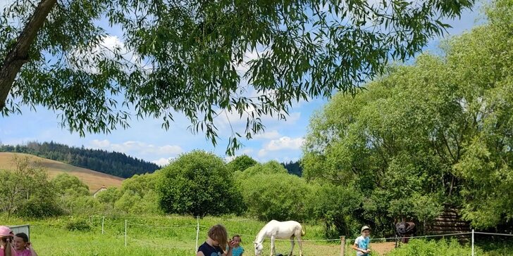 Tábor s koňmi Happy Horse: výborný program pre začiatočníkov aj pokročilých