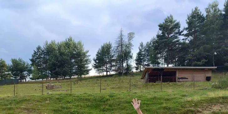 Tábor s koňmi Happy Horse: výborný program pre začiatočníkov aj pokročilých