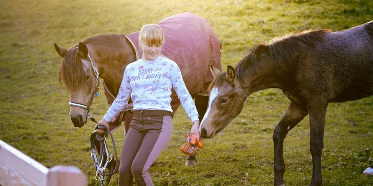 Tábor s koňmi Happy Horse: výborný program pre začiatočníkov aj pokročilých