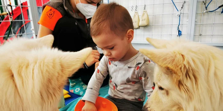 Postavme Tomáška s vývojovou poruchou mozgu na nôžky