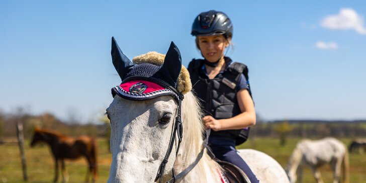 Leto s koňmi: Denný jazdecký tábor pre deti od 4 rokov