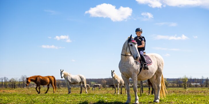 Leto s koňmi: Denný jazdecký tábor pre deti od 4 rokov