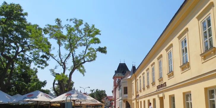 Dovolenka v Zámockom hoteli Lednice: terasa s výhľadom na zámok, raňajky či polpenzia a víno