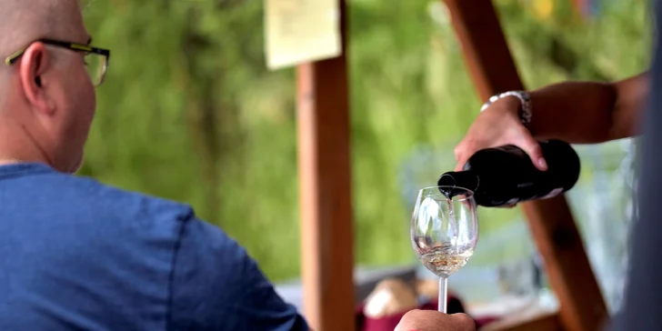 Vínny pas na tradičné podujatie Dni vína MOVINO priamo vo vinárstve vo Veľkom Krtíši