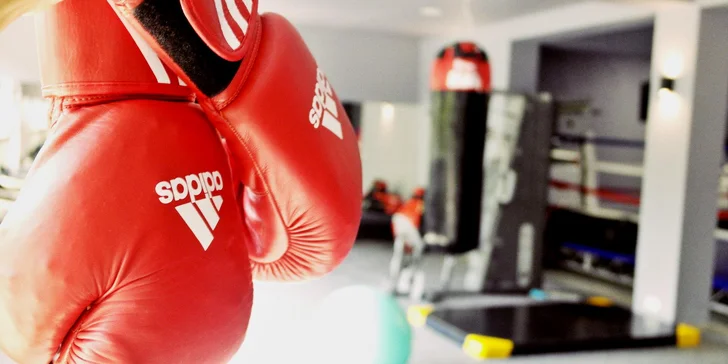 Levanduľové kráľovstvo pri jazere: Moderné izby s výhľadom, raňajky v cene a možnosť wellnessu