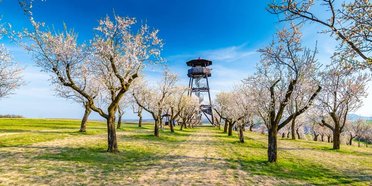 Dovolenka pod Pálavou: raňajky či polpenzia a wellness so 4 druhmi sáun i vírivkou