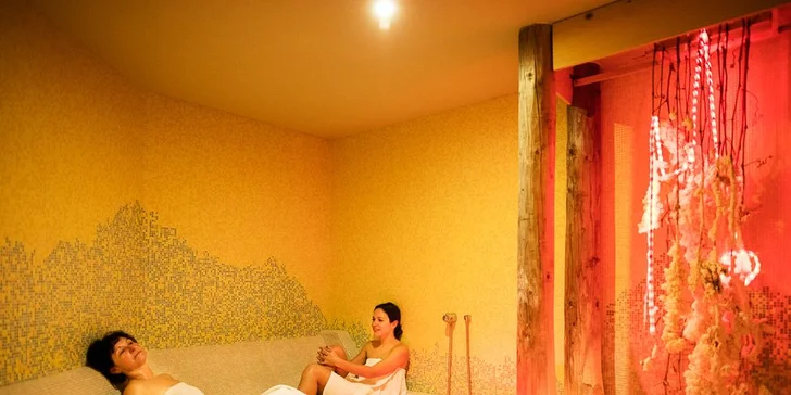 Dovolenka pod Pálavou: raňajky či polpenzia a wellness so 4 druhmi sáun i vírivkou