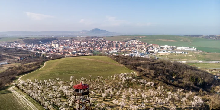 Dovolenka pod Pálavou: raňajky či polpenzia a wellness so 4 druhmi sáun i vírivkou