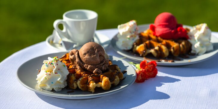 Pochúťky z Gugu: Kopčeková zmrzlina, wafle s nutellou, koláč, popcorn, káva, Prosecco