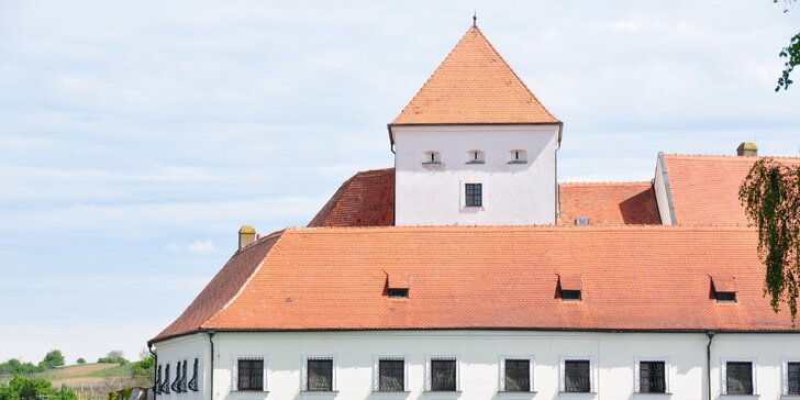Pobyt v kráľovstve vína: moravský zámok Čejkovice s polpenziou aj prehliadkou pivnice, veže a hladomorne