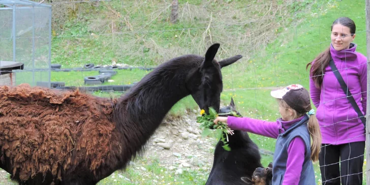 Detská zóna, aquazorbing, rodeo býk či jazda na štvorkolke v ZÁBAVNOM PARKU LIPTOV