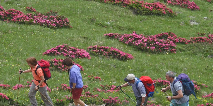 Dolomity v lete: polpenzia, wellness so saunou a bazénom, Trentino Guest Card so vstupmi na atrakcie