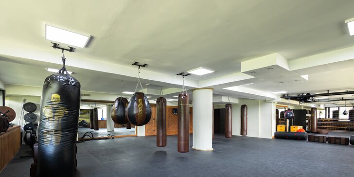 Titan Gym: Tréningy boxu, thajského boxu, MMA či jiu jitsu