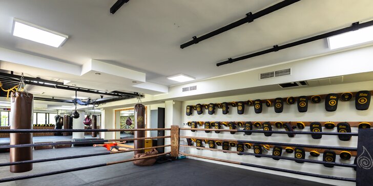 Titan Gym: Tréningy boxu, thajského boxu, MMA či jiu jitsu