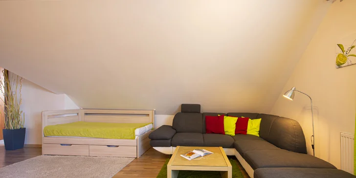Wellness pobyt vo Veľkej Lomnici v priestranných apartmánoch