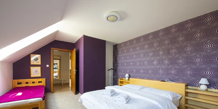 Wellness pobyt vo Veľkej Lomnici v priestranných apartmánoch
