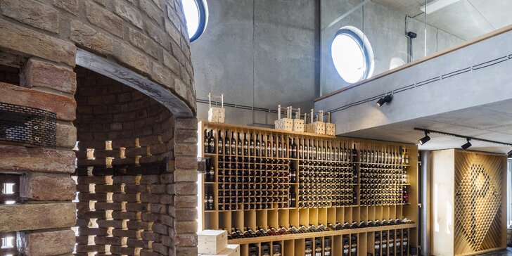 Pobyt v mezonetovom apartmáne s výhľadom na vinice v novom modernom vinárstve pri Nitre