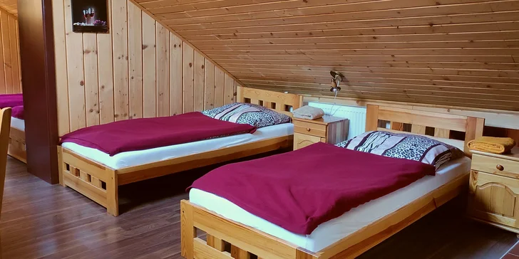 Dovolenkový dom s bazénom a saunou v malokarpatskej vínnej oblasti blízko Nových Zámkov až pre 16 osôb