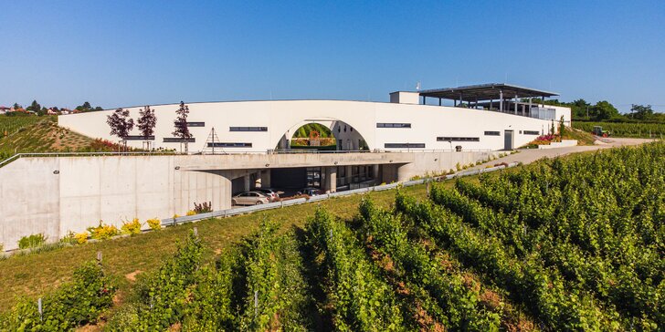 Pobyt v mezonetovom apartmáne s výhľadom na vinice v novom modernom vinárstve pri Nitre