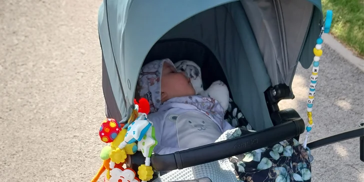 Pomoc pre Miška s nepriaznivým zdravotným stavom