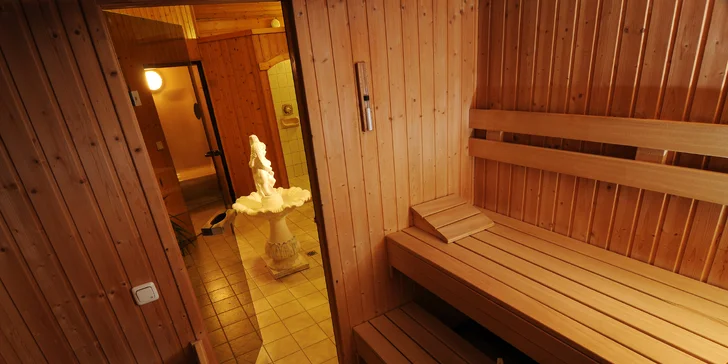 Pobyt v 4* hoteli v Alpách: polpenzia, wellness a lyžovanie, first minute zľava