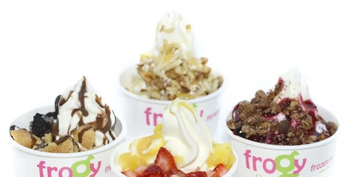 Mrazený jogurt alebo wafle s mrazeným jogurtom