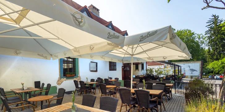 Dvojchodové menu prešporských špecialít, kačací alebo husací pekáč s prílohami v reštaurácii Leberfinger